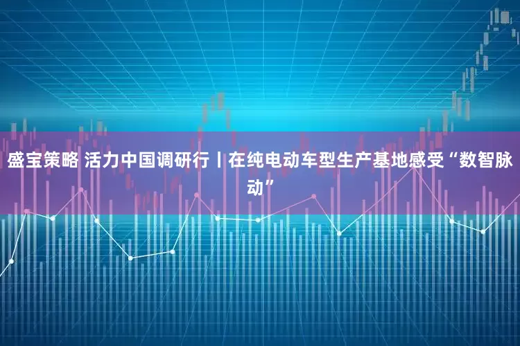 盛宝策略 活力中国调研行丨在纯电动车型生产基地感受“数智脉动”